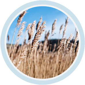 AG旗舰厅 (中国大陆) Apple Store